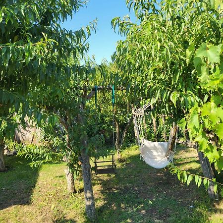 Vila Hipo Venus Εξωτερικό φωτογραφία
