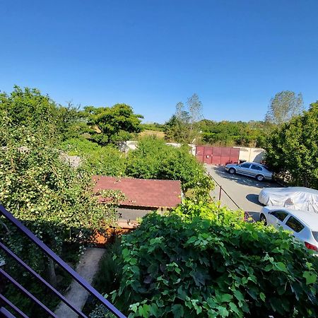 Vila Hipo Venus Εξωτερικό φωτογραφία