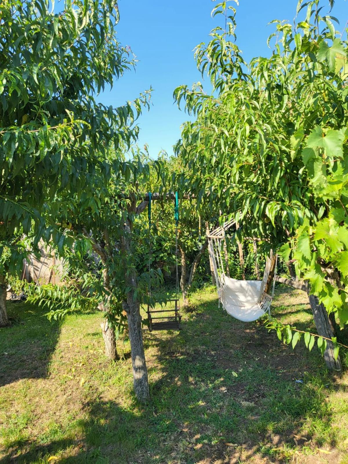 Vila Hipo Venus Εξωτερικό φωτογραφία