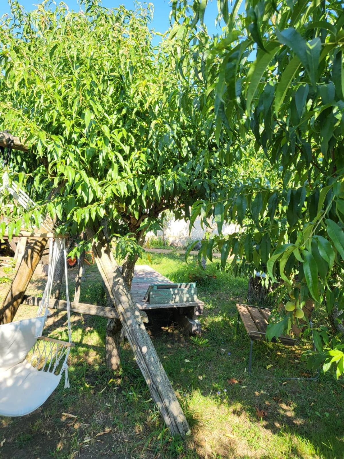Vila Hipo Venus Εξωτερικό φωτογραφία